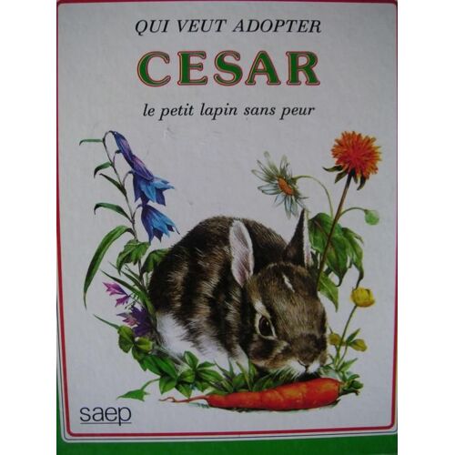 Cesar Le Petit Lapin