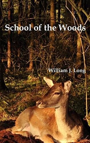 School Of The Woods