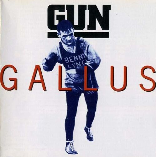 Gallus