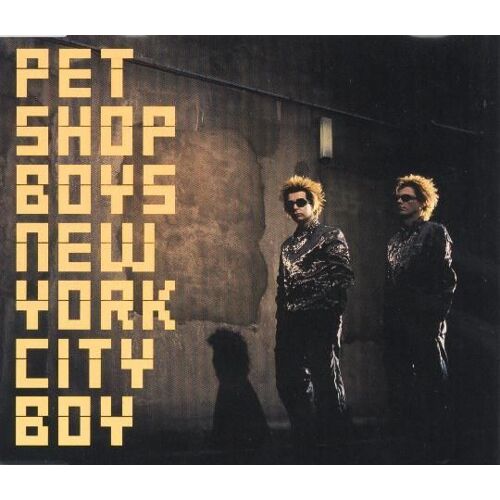 New York City Boy