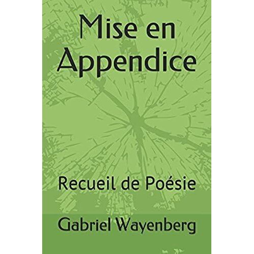 Mise En Appendice: Recueil De Poésie (Poésie Romantique - Tome)