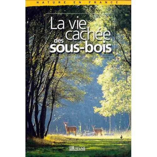La Vie Cachée Des Sous-Bois