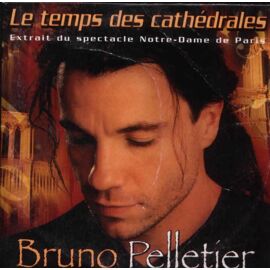 Le Temps Des Cathedrales