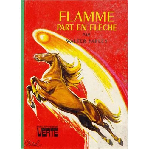 Flamme Part En Flèche