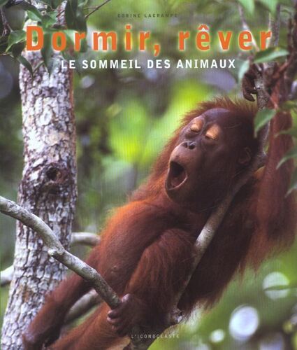 Dormir, Rêver - Le Sommeil Des Animaux