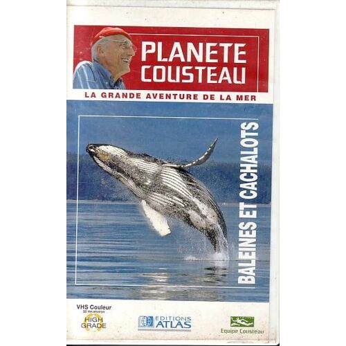 Planète Cousteau : Baleines Et Cachalots