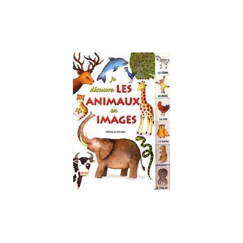 Je Decouvre Les Animaux En Images