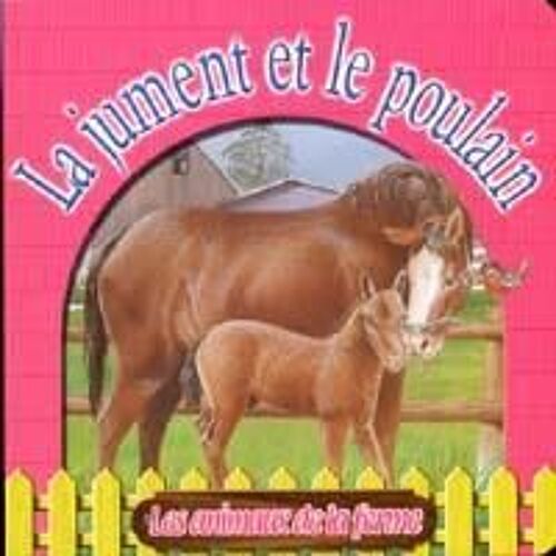 La Jument Et Le Poulain