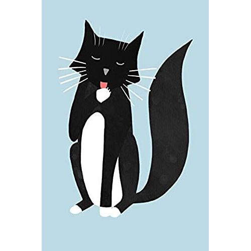 Notes: A Blank Isometric Graph Paper Notebook With A Cute Tuxedo Cat Cover