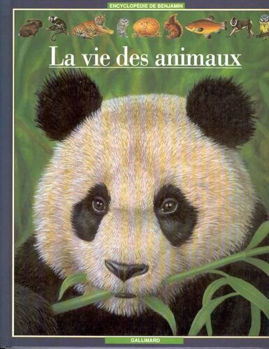 La Vie Des Animaux