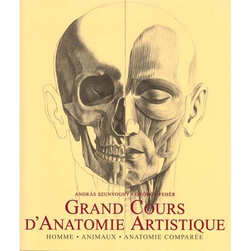 Grand Cours D'anatomie Artistique