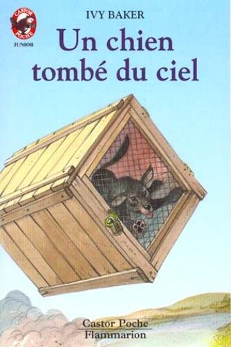 Un Chien Tombé Du Ciel