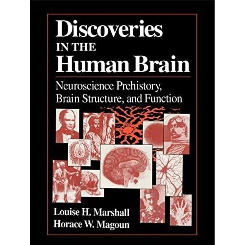 Discoveries In The Human Brain