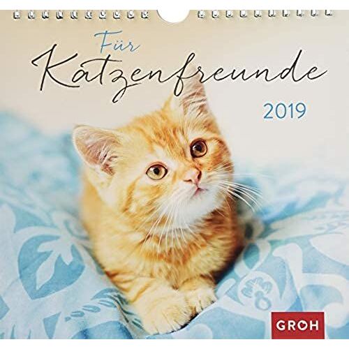 Für Katzenfreunde 2019: Dekorativer Wandkalender Mit Monatskalendarium