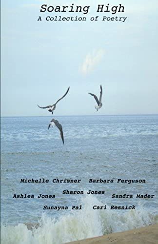 Soaring High: A Collection Of Poetry