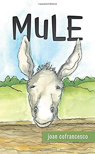Mule