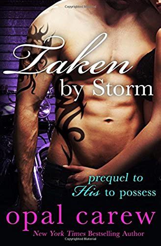Taken By Storm
