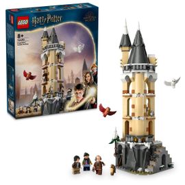 LEGO Harry Potter - La volière du château de Poudlard - 76430