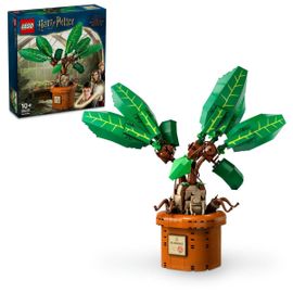 LEGO Harry Potter - Mandragore - 76433