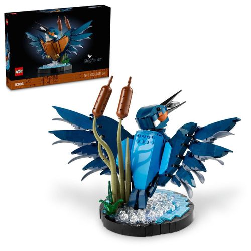 LEGO Icons - Le martin-pêcheur - 10331