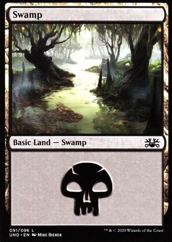 Swamp (Marais) - Mtg - Unsanctioned Vo - 91/96