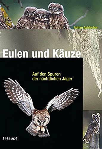Eulen Und Käuze: Auf Den Spuren Der Nächtlichen Jäger
