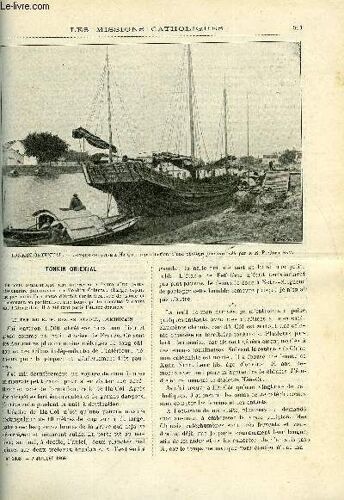 Les Missions Catholiques N° 1883 - Tonkin Oriental, Les Zoulous, Histoire, Moeurs Et Religion, Congo Français, Gabon