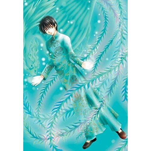 The Young Magician, Vol. 11