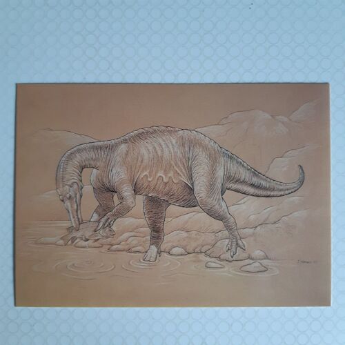 Carte Postale Cpa Postal Card New 1987 Dinosaure Baryonyx Walkeri Dinosaur Dpg 80 British Muséum Natural History
