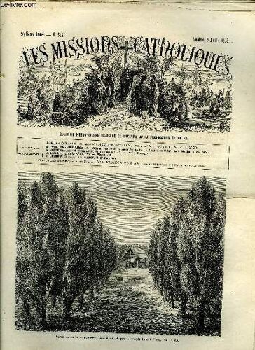 Les Missions Catholiques N° 318 - Tong King Occidental, La Situation, Du Catholicisme Et Du Protestantisme Aux Indes Orientales, Sépulture Betsimitsara, Tombeaux Des Zafimbolamena Ou Princes Sakalaves