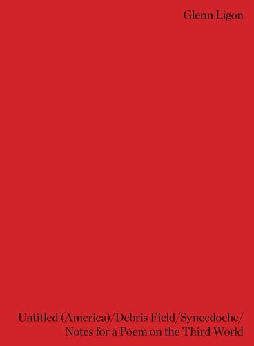 Untitled (America) / Debris Field / Synecdoche / Notes For A Poem On The Third World