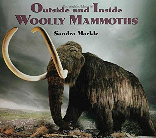 Outside And Inside Woolly Mammoths (Outside And Inside (Walker & Company))