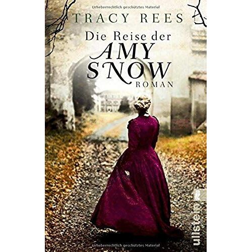 Die Reise Der Amy Snow