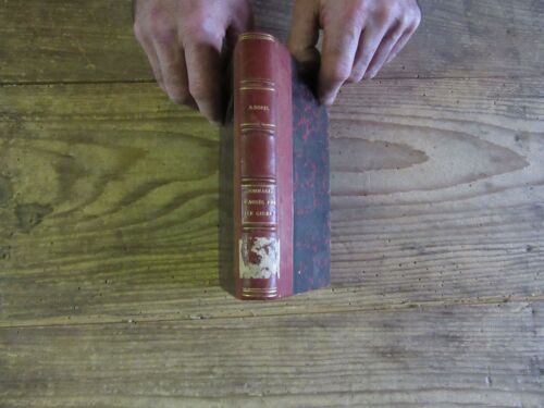 Dommages Aux Champs Causes Par Le Gibier ( Lapins Lievre Sangliers Ect De La Responsabilite Des Proprietaire De Bois Et Forets Locataire De Chasses