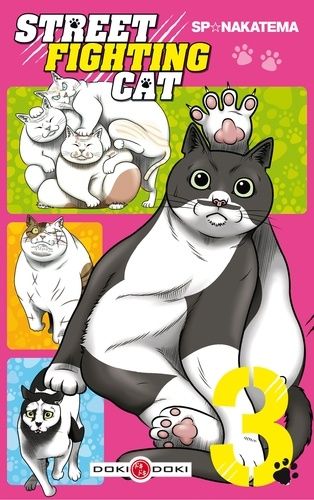 Street Fighting Cat - Tome 3