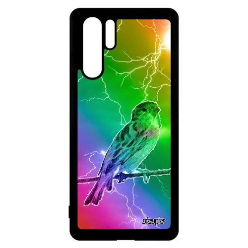 Coque silicone pour P30 Pro oiseau moineau vert arc en ciel eclair petit cover design 4G multicolore aluminium animaux etui Huawei