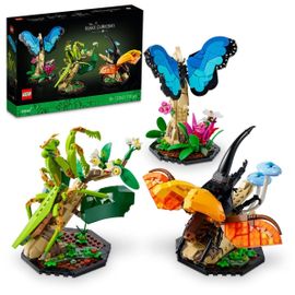 LEGO Ideas - La collection d'insectes - 21342