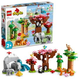 LEGO DUPLO - Animaux sauvages d'Asie - 10974