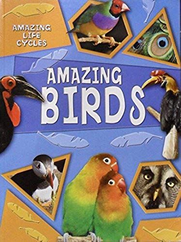 Amazing Birds (Amazing Life Cycles)