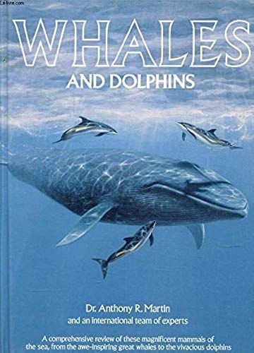 Whales And Dolphins :