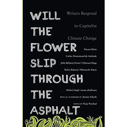 Will The Flower Slip Through The Asphalt?