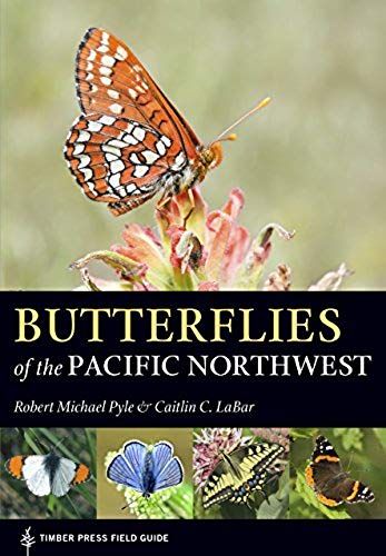 Butterflies Of The Pacific Northwest