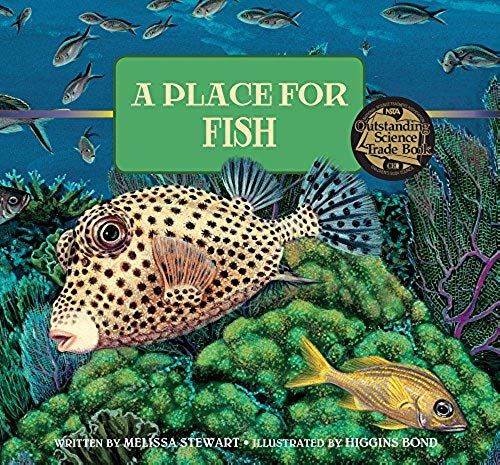 A Place For Fish
