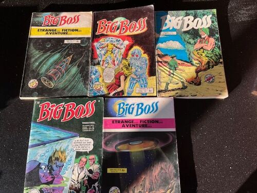 Lot De Bd Big Boss