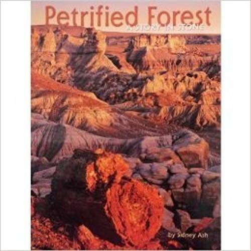 Petrified Forest: A Story In Stone