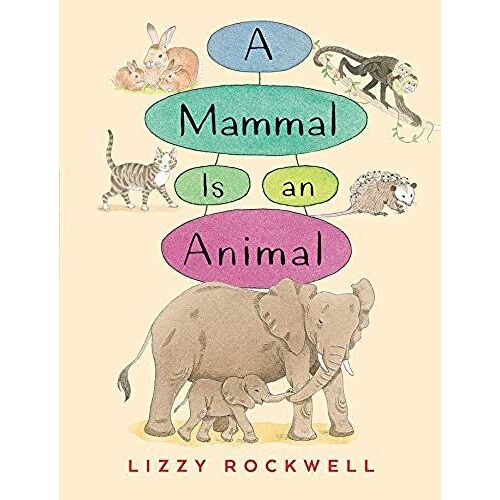 A Mammal Is An Animal