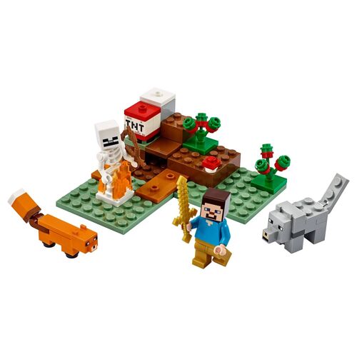 LEGO Minecraft - Aventures dans la taïga - 21162