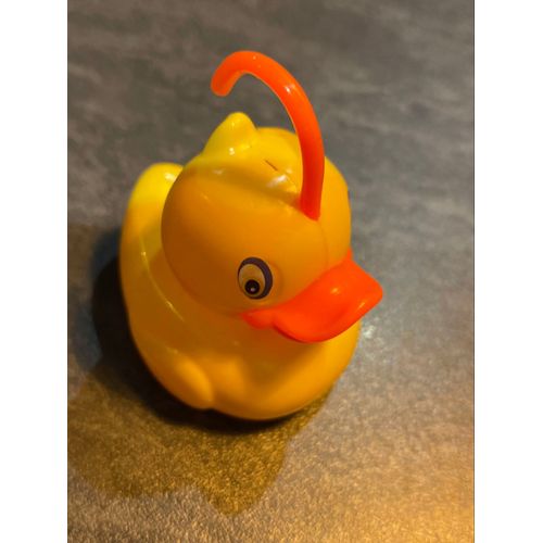 Jouet canard plastique 