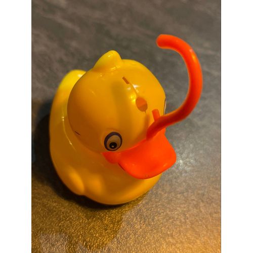 Jouet canard plastique 