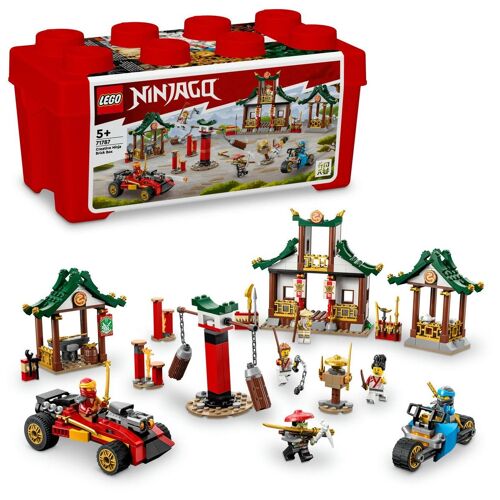 LEGO NINJAGO - La boîte de briques créatives ninja - 71787